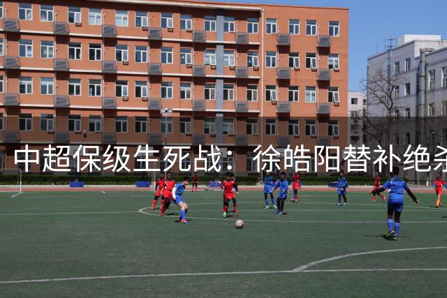 中超保级生死战：徐皓阳替补绝杀 申花客场1-0险胜垫底海牛