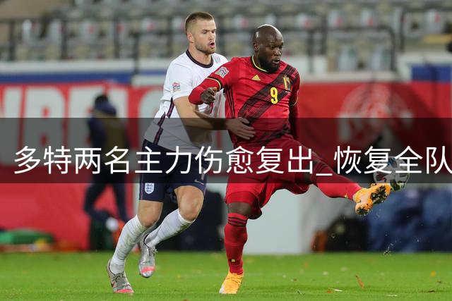 多特两名主力伤愈复出 恢复全队合练