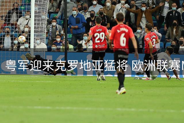 粤军迎来克罗地亚猛将 欧洲联赛MVP加盟宏远